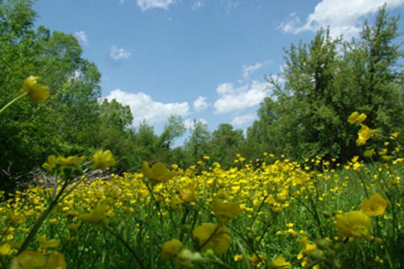 روستای ورنیاب